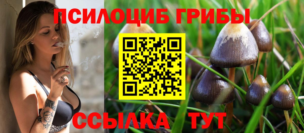 Псилоцибиновые грибы Psilocybine cubensis  Вход с VPN  Псилоцибиновые грибы Cubensis  цена наркотик  Губкинский 