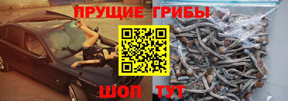 ГАШИШ Губкинский