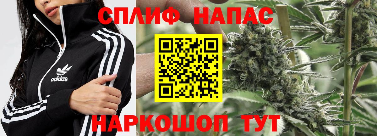 Бошки марихуана тримм  Шишки марихуана планчик  Губкинский  Бошки марихуана гибрид  Канабис план  Вход с VPN 