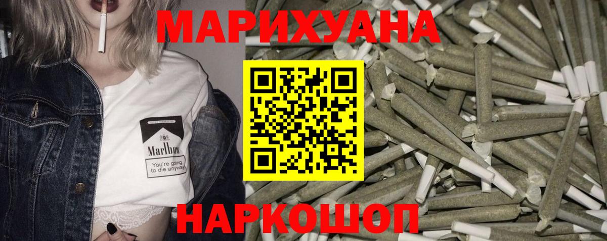 Конопля планчик Губкинский